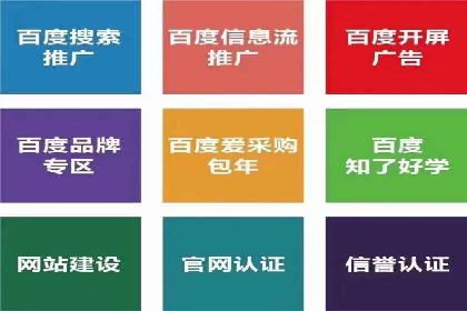 成功背后的力量：SEM推广代运营公司的故事